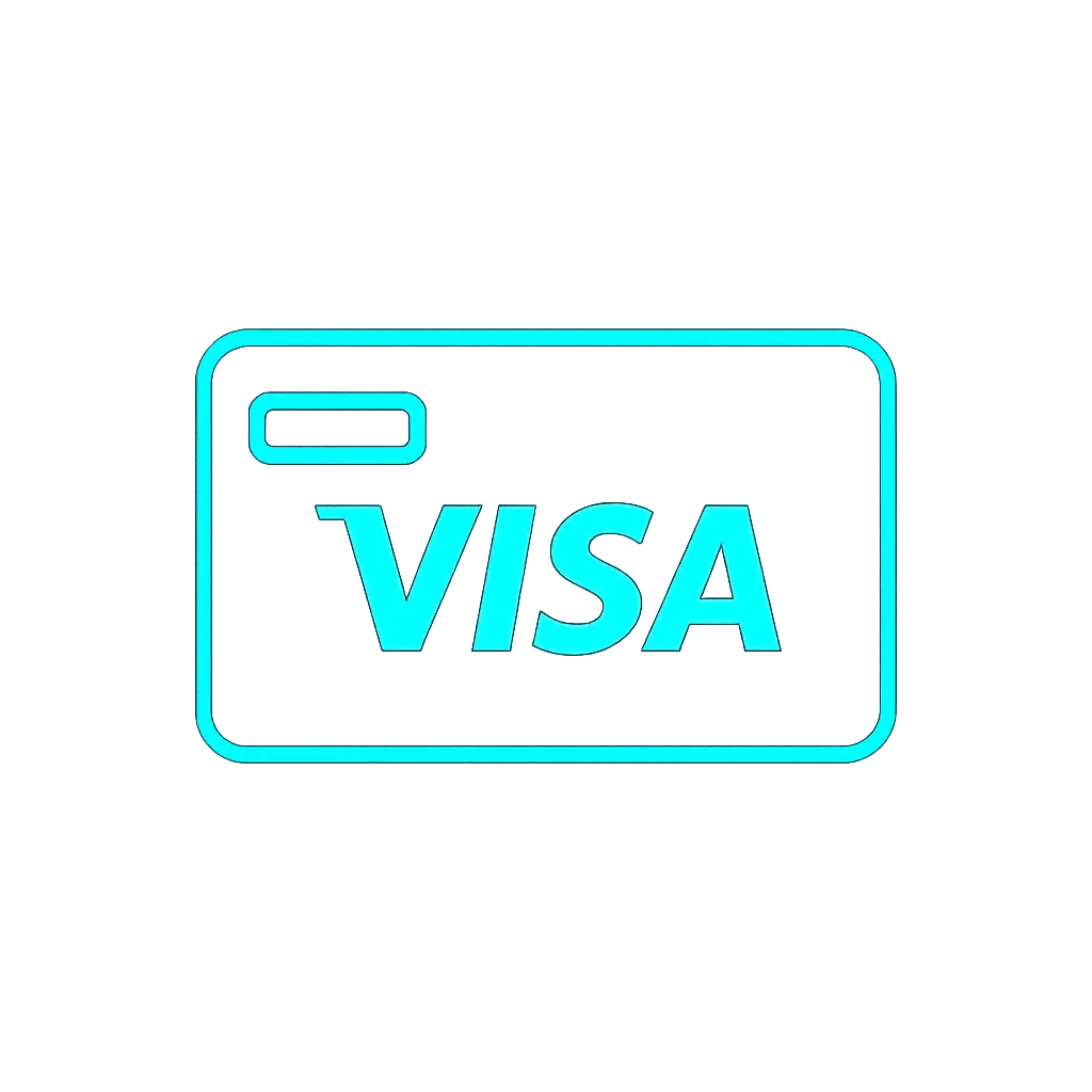 Visa card payment icon